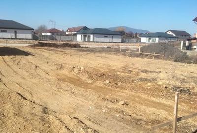 Teren de 500 mp, în Stupini - 2