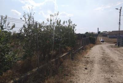 Poiana- str. Cerealelor, teren intravilan curti constructii 3417 mp de vanzare Poiana- str. Cerealelor, teren intravilan curti constructii 3417 mp de vanzare - 8