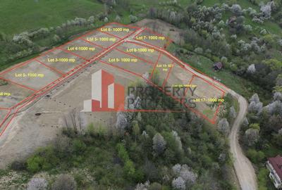 Teren Construcții intravilan de 1000 mp, în Bran - 1