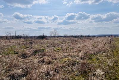 Teren Construcții intravilan de 815 mp, în Malu Mare - 2