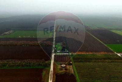 Proprietate specială, de 430,000 mp, în Adunații-Copăceni - 12