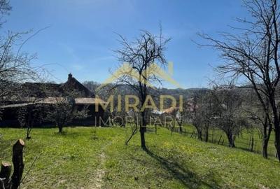 Casă cu 5 camere cu Teren 1990 Mp în Adunați - 7