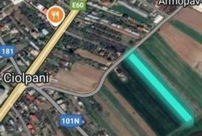 Terenuri de vanzare | Peris, Tancabesti, Snagov | Oportunitate - 5
