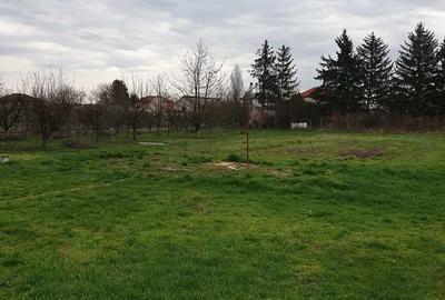 Casă cu Teren 2800 Mp în Mărtinești - 1