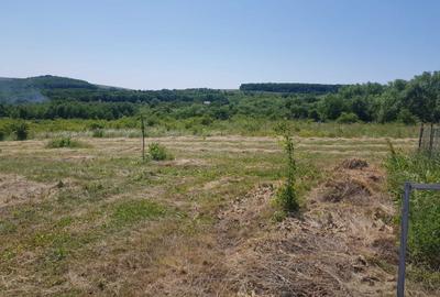 Spațiu comercial, în Chinteni