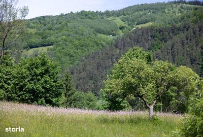 Teren de 1050 mp, în Moieciu - 8