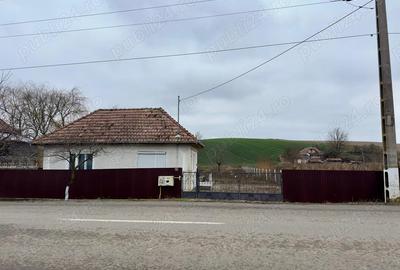 Casă cu 2 camere cu Teren 1000 Mp în Șăulia - 1