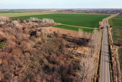 Ferma si livada de meri in judetul Ilfov - 23