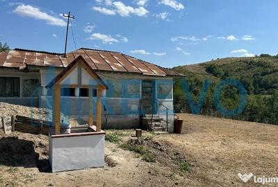 Casă cu 2 camere cu Teren 1425 Mp în Parincea - 12