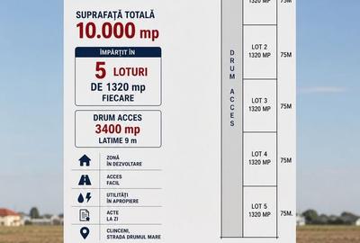 Teren Construcții intravilan de 10000 mp, în Clinceni - 4
