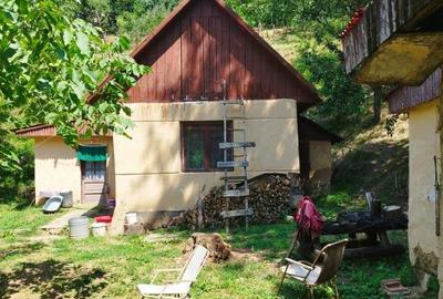 Dealul Florilor, casa 75 ari teren - 7