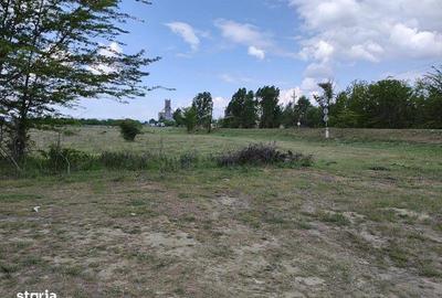 Teren de 39099 mp, în Șimian - 3