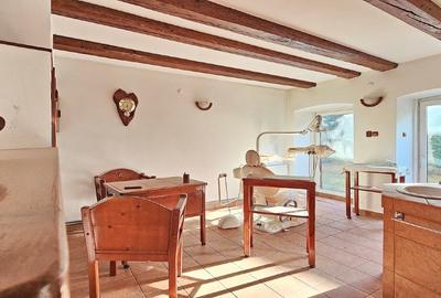 PROPRIETATE: 1500 mp, cu casa saseasca autentica, in Cristian, Brasov - 5