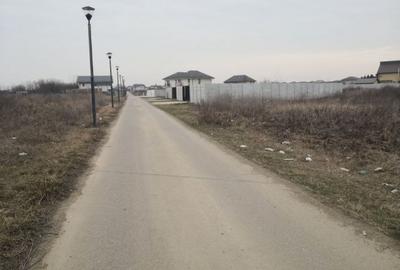 12368 mp teren pentru constructii,str-Iederei-str;Dumbravei deschidere 298 m - 5