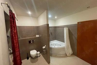 Casa de Vanzare-Stupinii Noi - 8