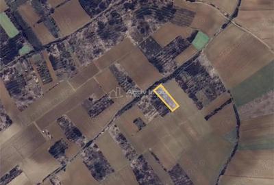 Teren extravilan de vanzare Dealul Viilor, Biharia | 3000 mp - 2