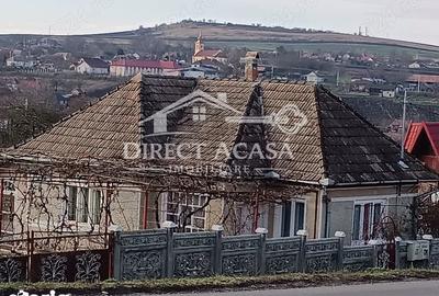 Casă cu Teren 15000 Mp în Central - 4