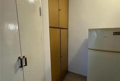 Inchiriere Apartament cu 1 camera Podu Ros Inchiriere Apartament cu 1 camera Podu Ros - 8