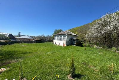 Teren de 1002 mp, în Valea Mare - 14