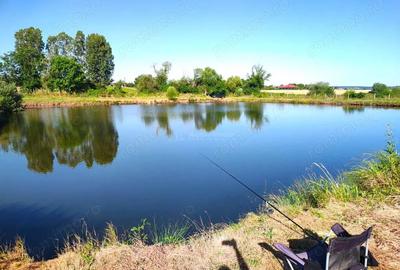 Teren 18.247 mp cu balta de pescuit Misca, Comuna Chislaz, Bihor - 2