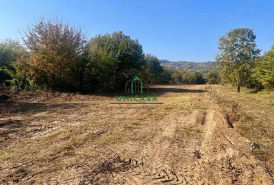 Teren 3960 mp / intravilan / Ramnicu Valcea - 5