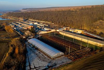 Fosta Ferma a Partidului de la Horgesti - de vanzare - 34