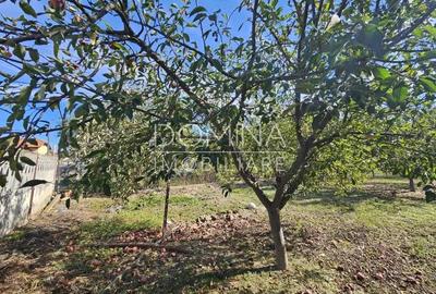 Vanzare teren *intravilan 308 mp cu utilita?i* - Sat Ceauru, Comuna Bale?ti - 4