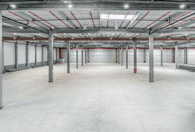 Hale industriale de inchiriat in cadrul parcului WDP Timisoara - 4