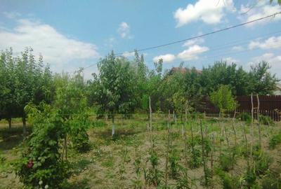 Casa solida la ?osea Voinesti, Ia?i | 3 camere | 684 mp teren | gaz, - 12