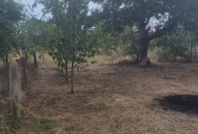 Casă cu 3 camere în Sculia - 7