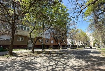 Apartament cu 2 camere decomandat, mobilat în Carei - 10