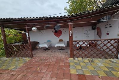 Casa P+M, Suprafata utila 220 mp, Teren 1.150 mp, Ștefanesti - 18