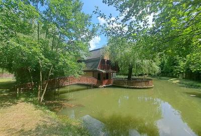 RECO, Cabana pe apa in Padurea Neagra, Bihor - 7