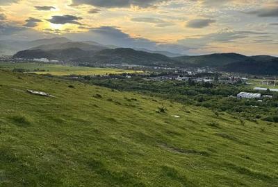 Teren de 10000 mp, în Zărnești - 5