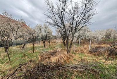 Teren intravilan de vanzare, 1.200mp, zona Porolisum - 1