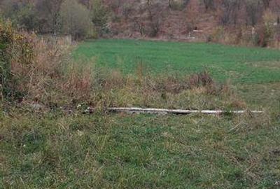 Teren de 6030 mp, în Deda