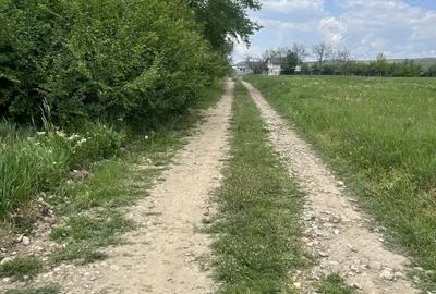 Teren de 1600 mp, în Dragomirești - 1