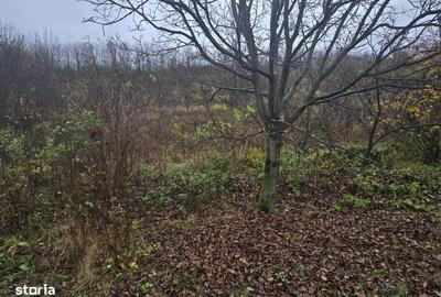 Teren de 500 mp, în Tomești