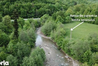 Teren de 4000 mp, în Babarunca - 5
