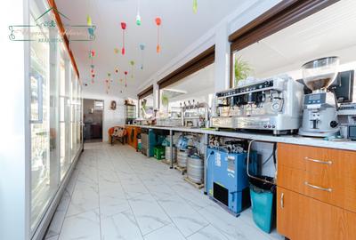 Investitie de Vis! Terasa pe Plaja Ghioroc, Judet Arad - Afacere la Cheie! - 12