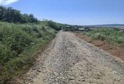 Teren de 13700 mp, în Bălteni - 4