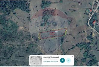 Teren de vanzare 8,700 mp  Tarlungeni, comision 0 cumparator