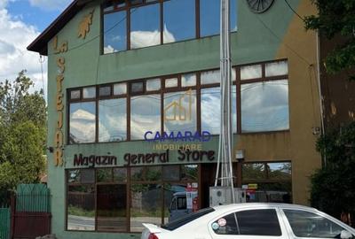 Spatiu comercial de vanzare sau inchiriere - Tamadau Mare, stradal DN3