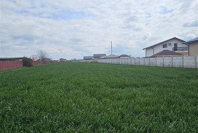 Teren Construcții intravilan de 2691 mp, în Vârteju - 6