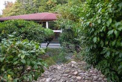 Vila spectaculoasa de vanzare in Faget - 15