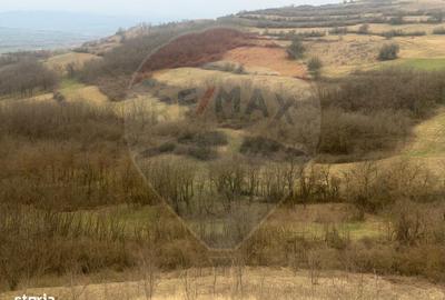 Teren de 18800 mp, în Vințu de Jos - 4