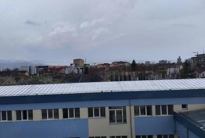 Garsonieră decomandată în Turnișor - 2