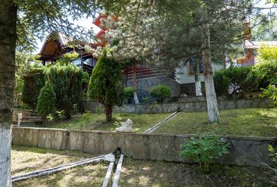 Vanzare casa de vacanta, Slanic Prahova - 56