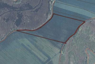 Spațiu comercial, în Satchinez - 1