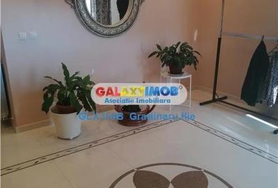 Vanzare vila superba 8 camere Calea Calarasilor / Matei Basarab Vanzare vila superba 8 camere Calea Calarasilor / Matei Basarab - 16